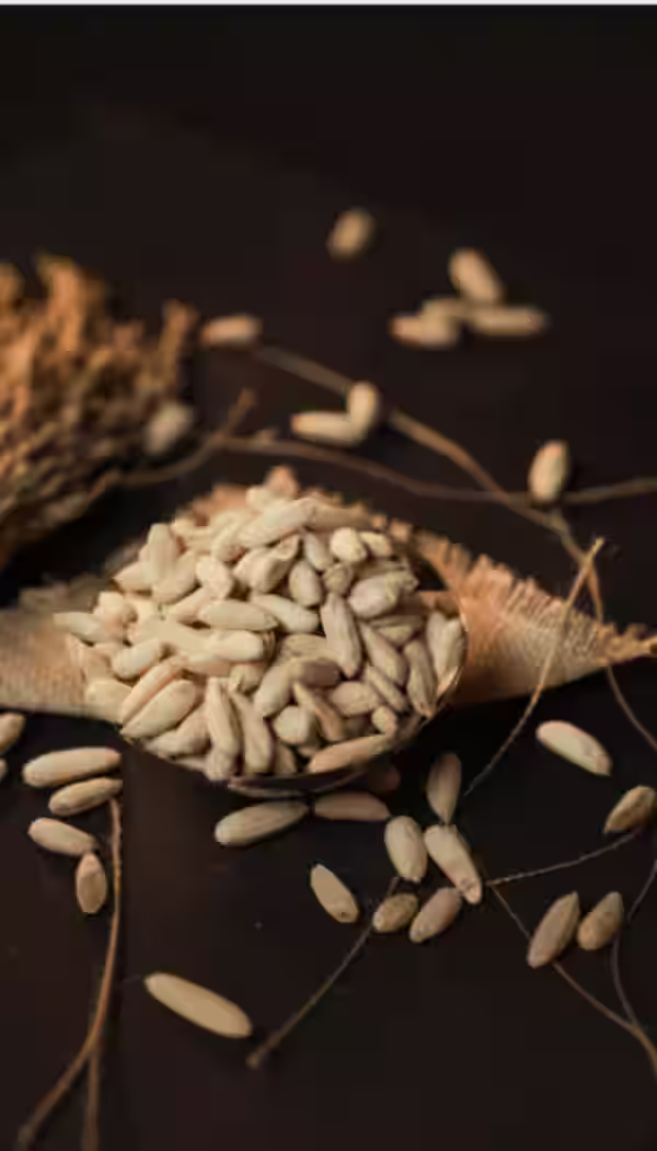 SUNFLOWER SEEDS